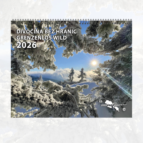 Grenzenlos wild  / <br>Divočina bez hranic 2026